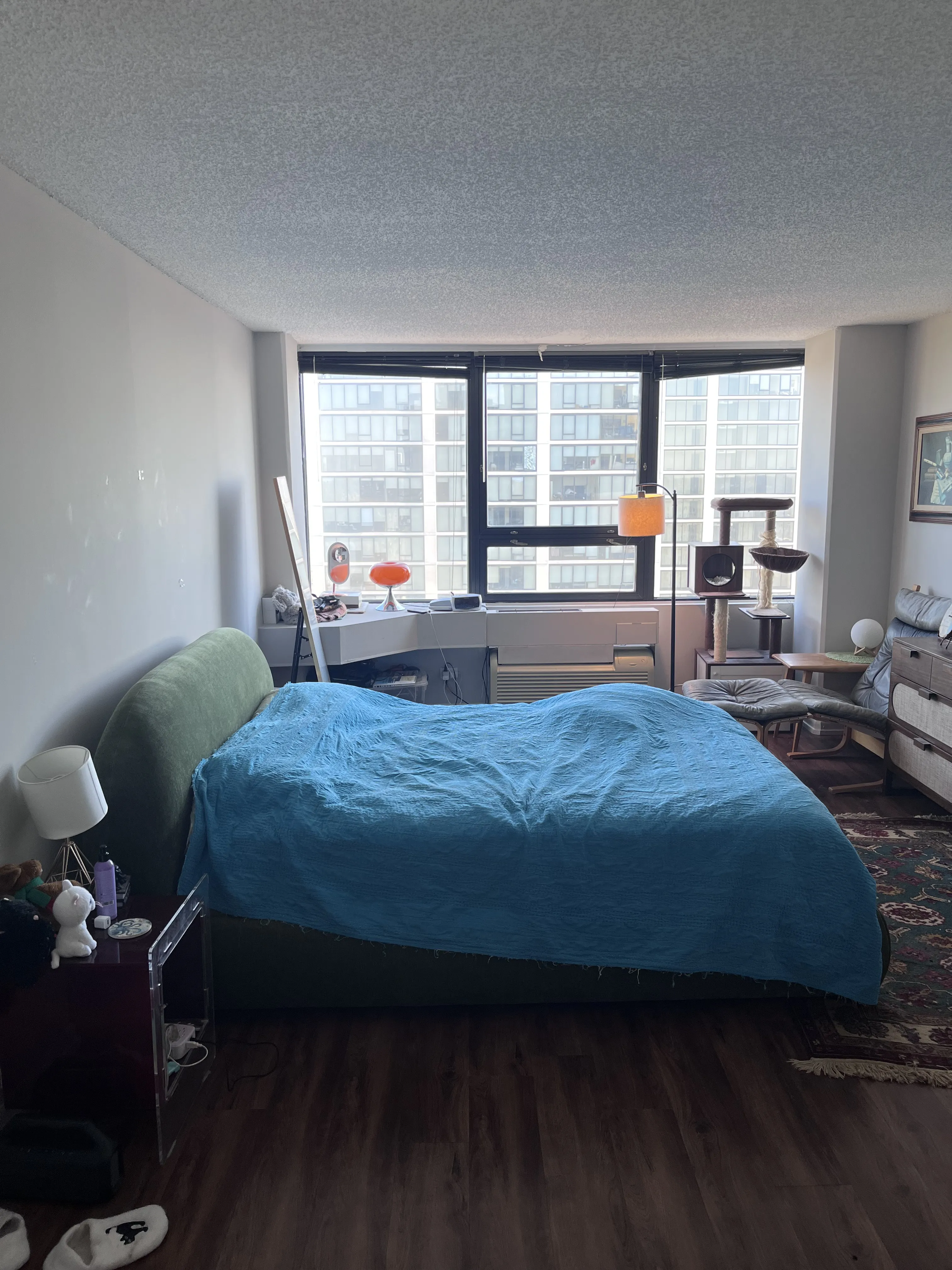1212 S Michigan Ave 60605 60605-Park Michigan-unit#2602-Chicago-IL