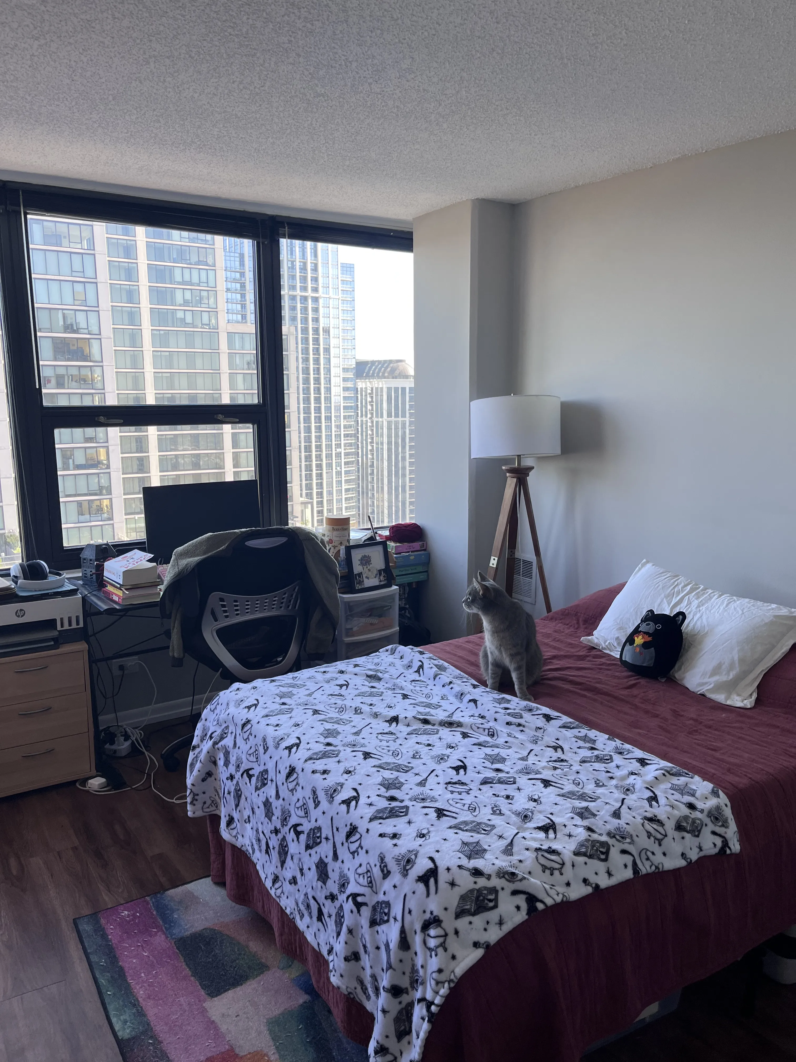 1212 S Michigan Ave 60605 60605-Park Michigan-unit#2602-Chicago-IL