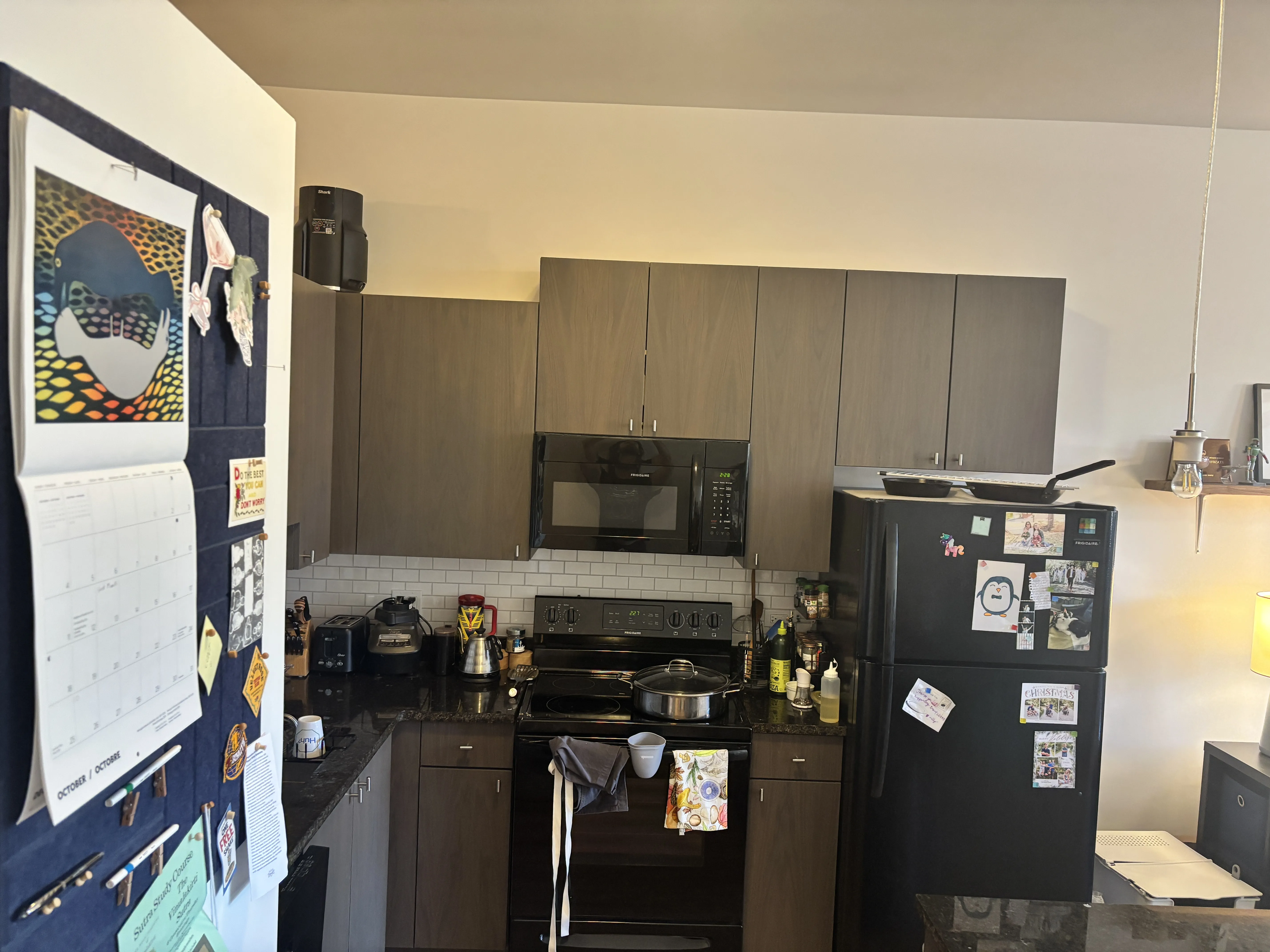 3647 N Southport Ave   60613 60613-Chicago-IL