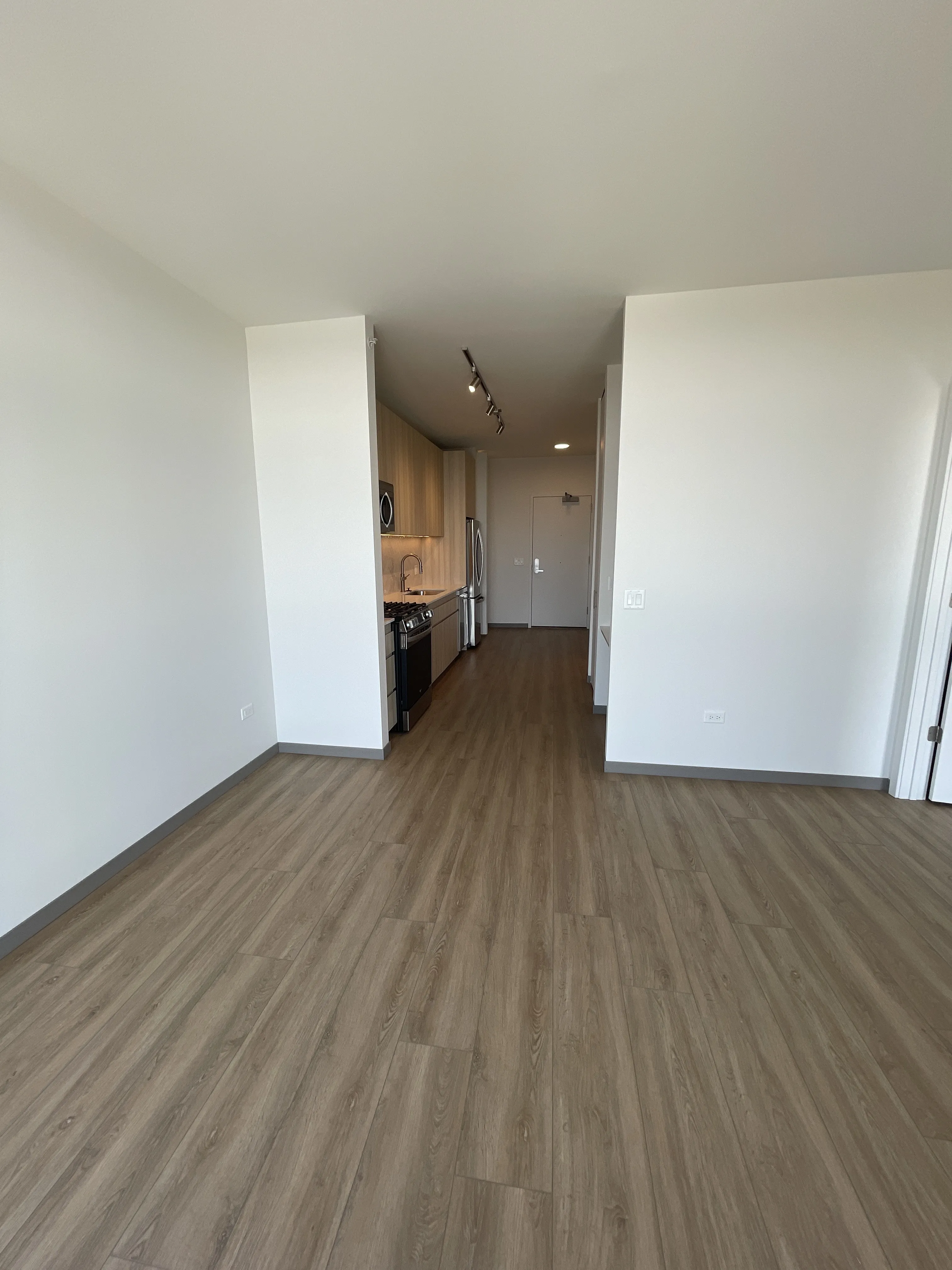 513 S Damen Ave 60612 60612-unit#1301-Chicago-IL