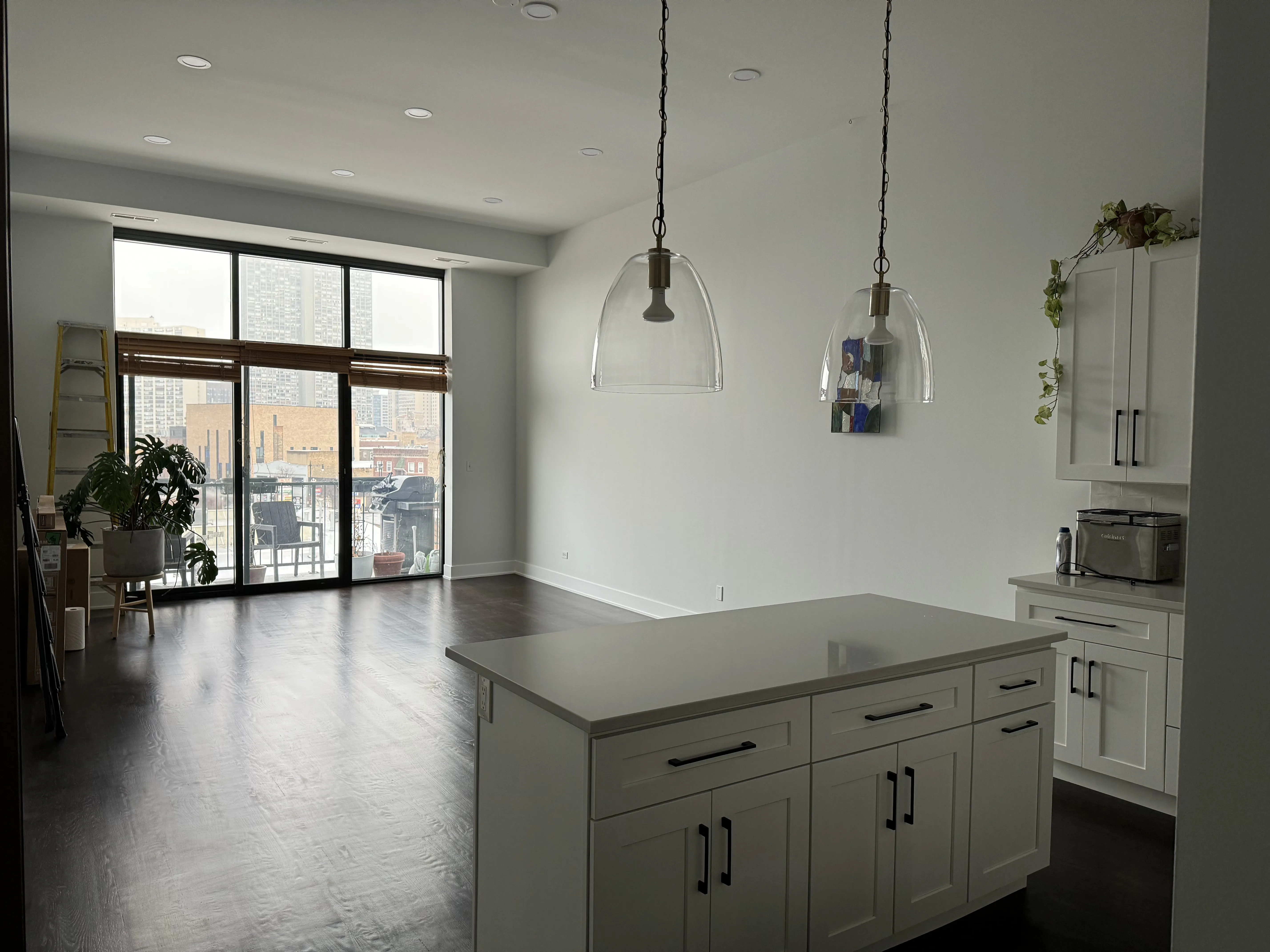 3631 N Halsted St 60613 60613-The Dakota-unit#402-Chicago-IL