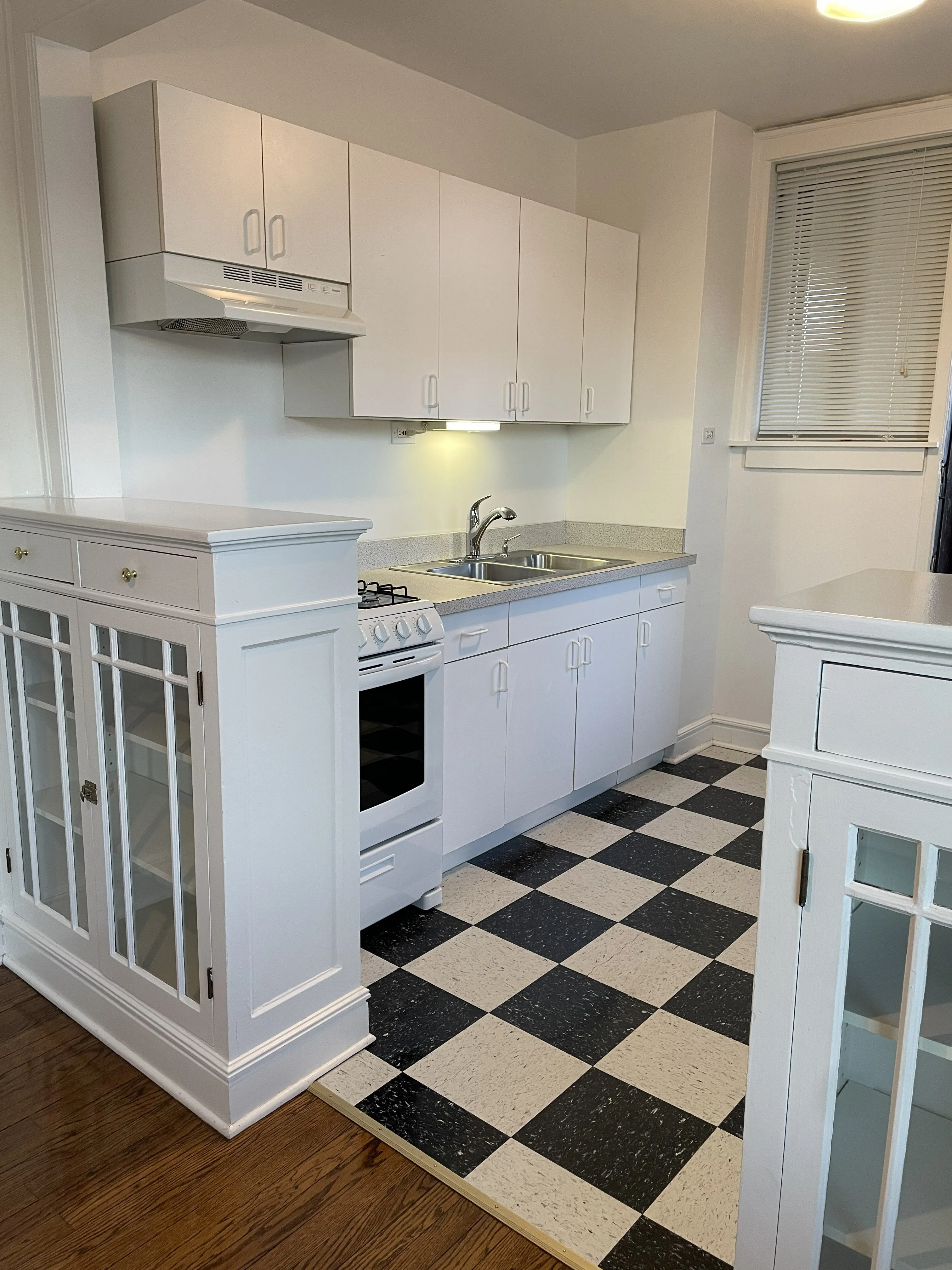 5217 N DAMEN AVE 60625-unit#2W-Chicago-IL