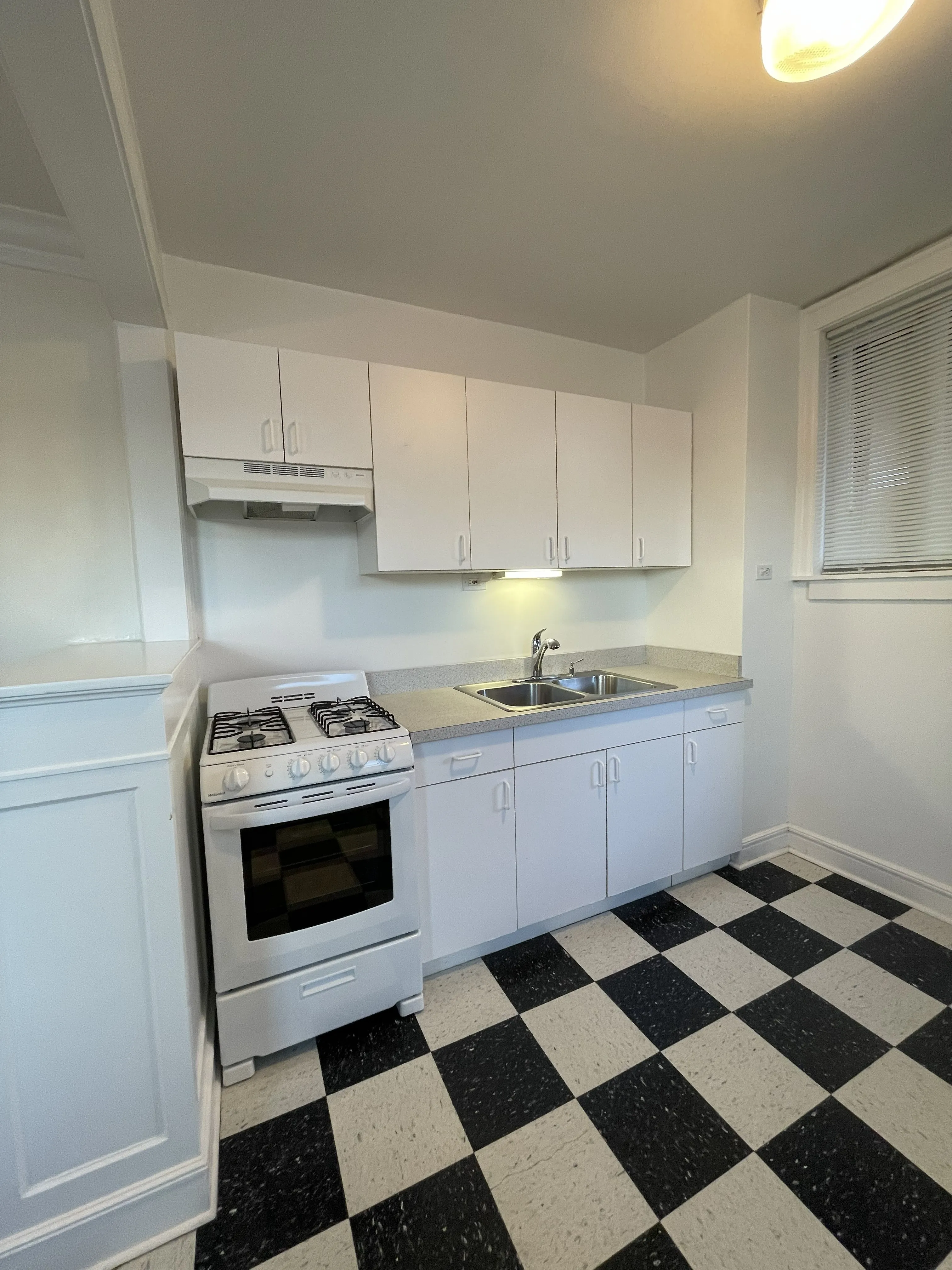 5217 N DAMEN AVE 60625-unit#2W-Chicago-IL