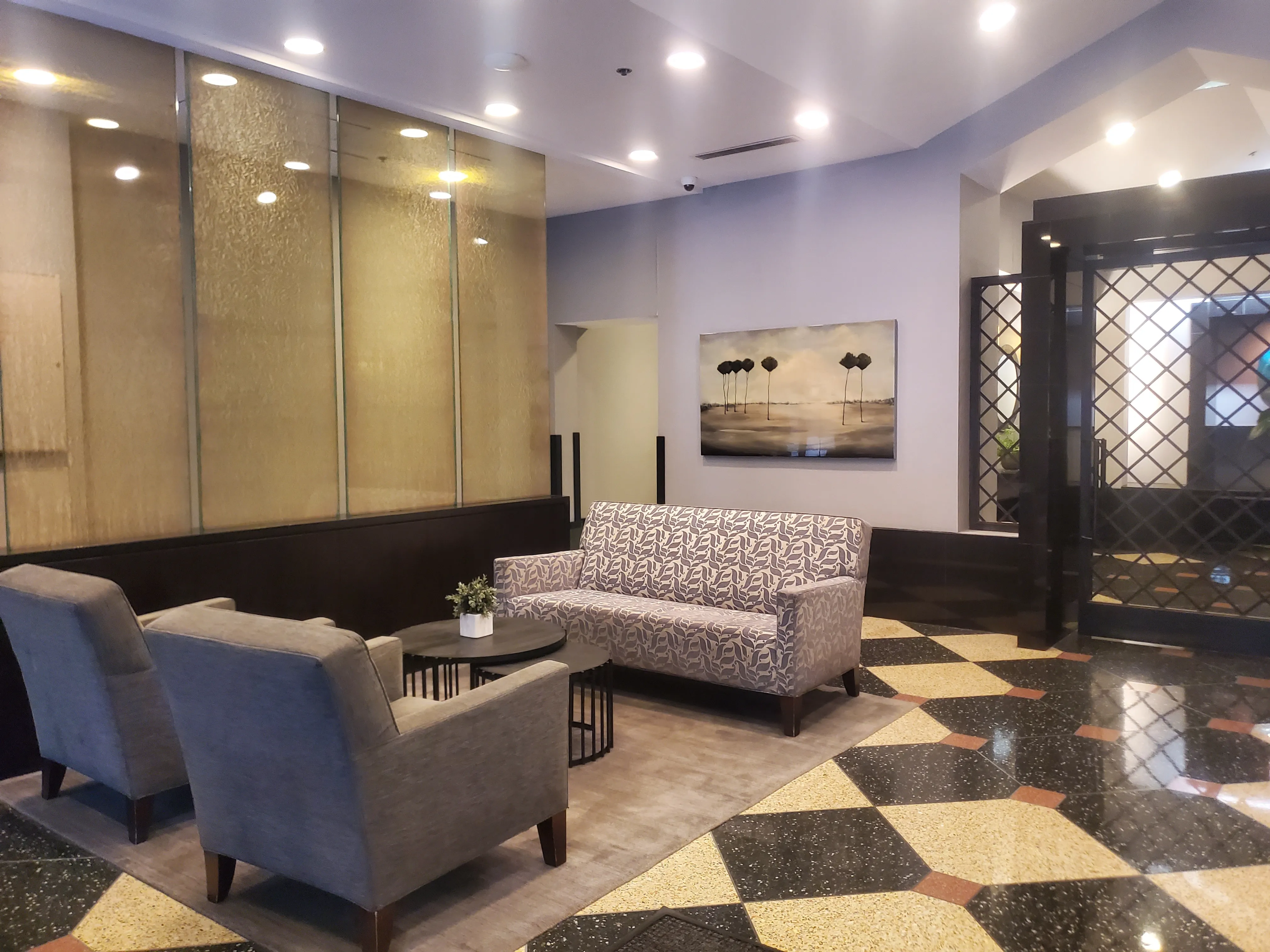 111 W MAPLE ST 60610-Gold Coast Galleria-unit#1101-Chicago-IL