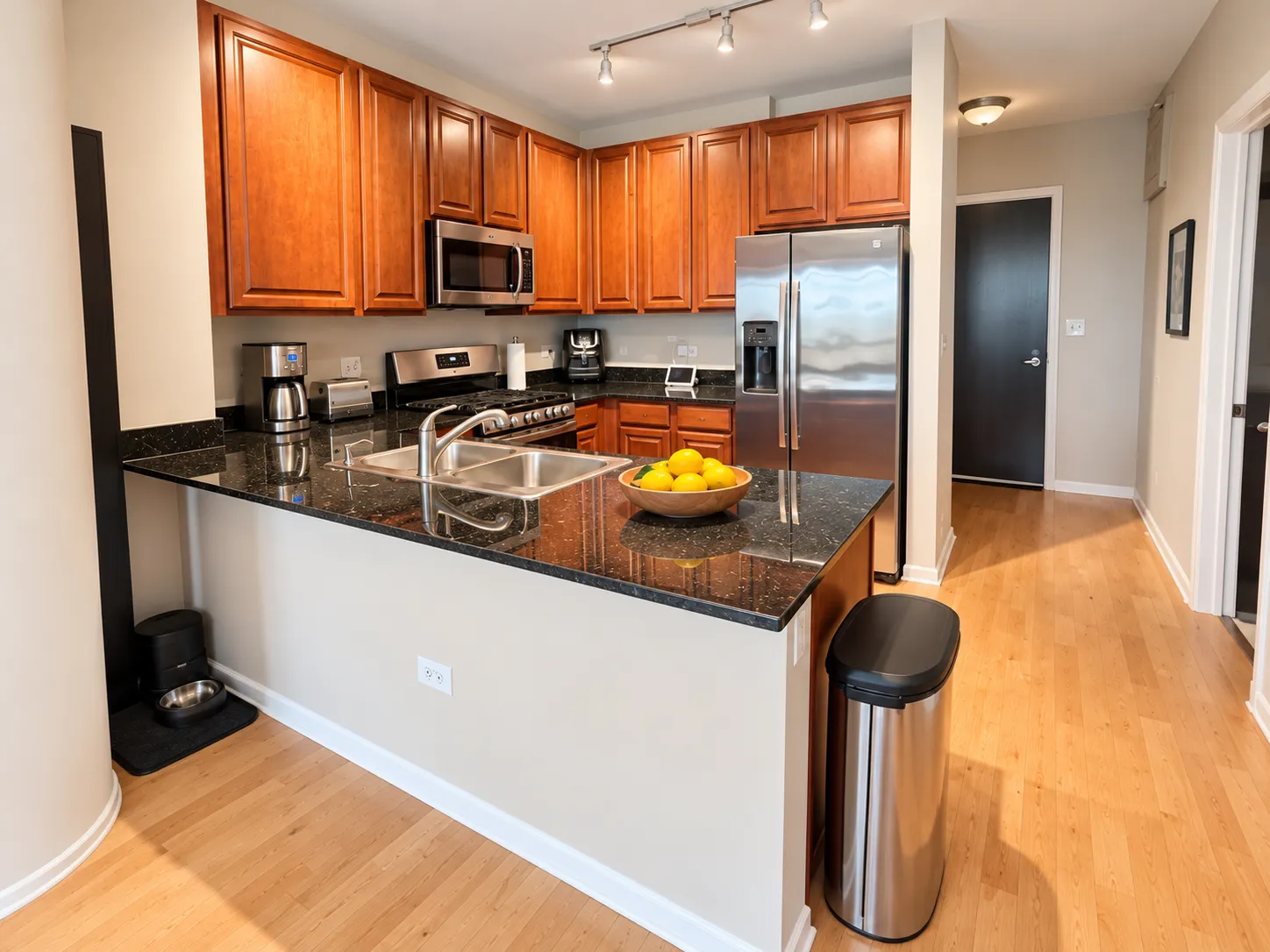 1255 S State St   60605 60605-Vision on State-unit#1014-Chicago-IL