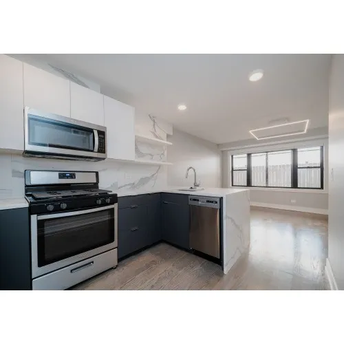 4423 N Ashland Ave 60640 60640-unit#101-Chicago-IL