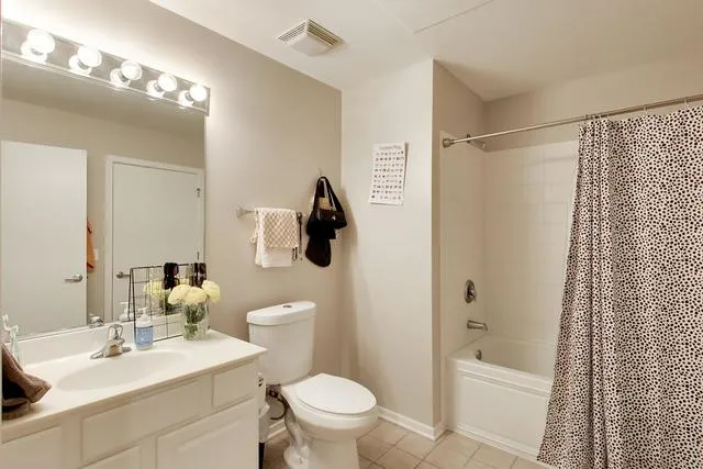 849 N Franklin St   60610 60610-unit#1009-Chicago-IL