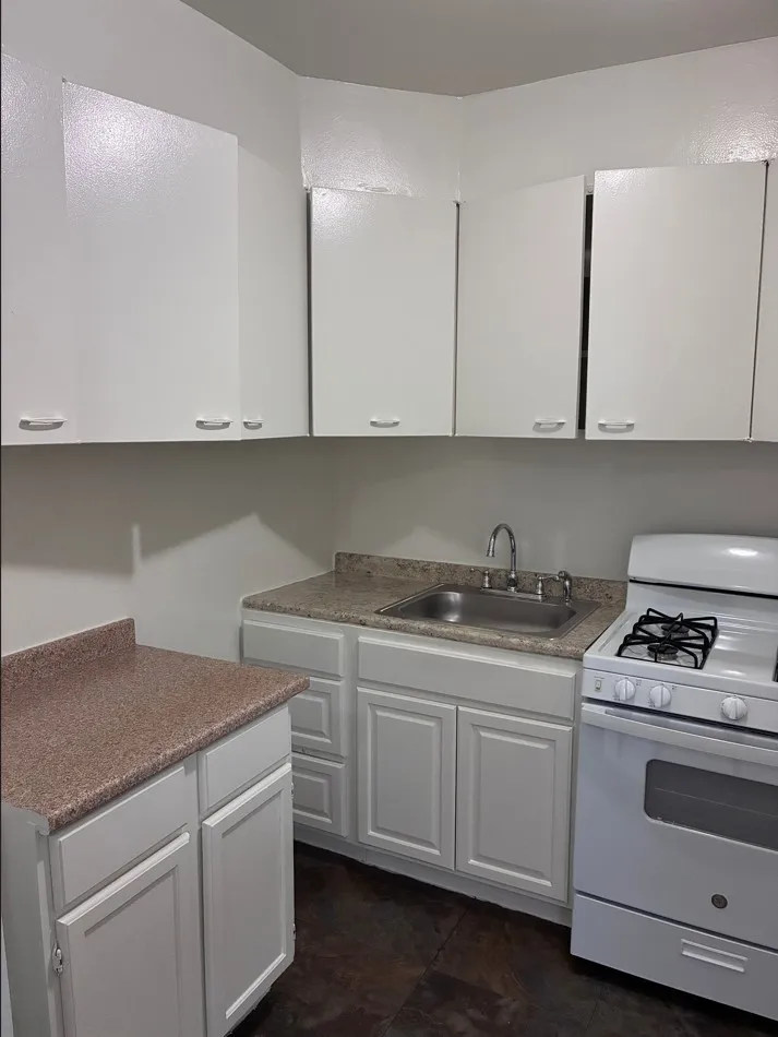 1606 W ALBION AVE 60626-unit#3R-Chicago-IL