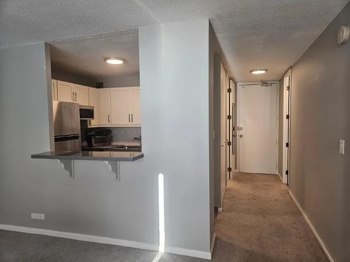 2728 N Hampden Ct 60614 60614-Chicago-IL