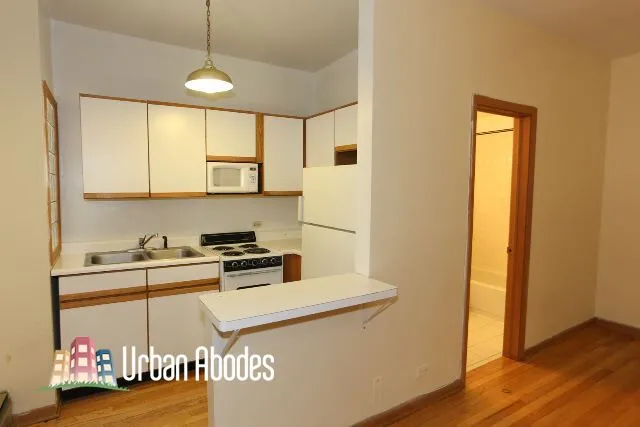 635 W Barry Ave, ,  60657, USA 60657-unit#202-Chicago-IL