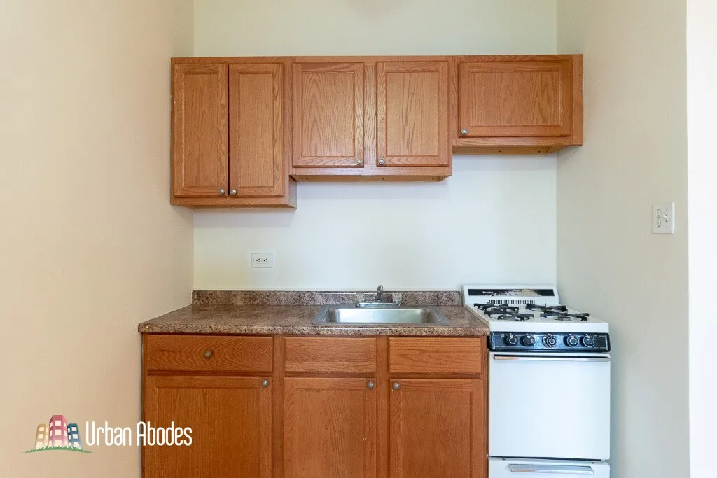 4851 N Damen Ave, ,  60625, USA 60625-unit#203-Chicago-IL