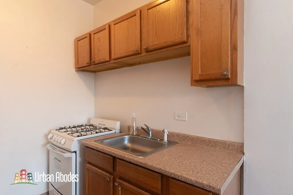 4851 N Damen Ave, ,  60625, USA 60625-unit#311-Chicago-IL