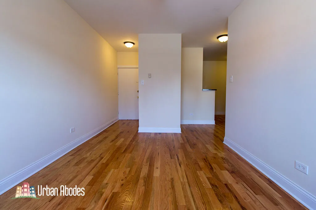 953 W Cornelia Ave, ,  60657, USA 60657-unit#1B-Chicago-IL