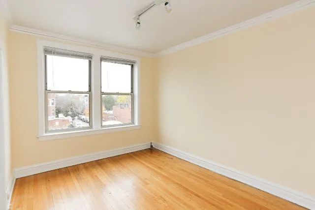 558 W Aldine Ave, ,  60657, USA 60657-unit#3N-Chicago-IL