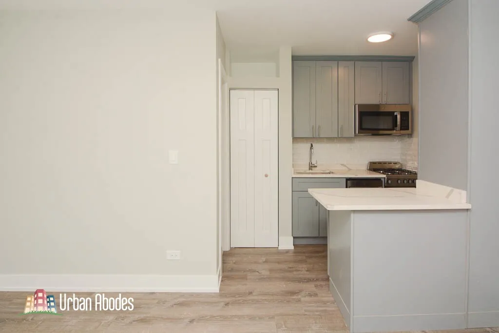 505 W Belmont Ave, ,  60657, USA 60657-unit#2B-Chicago-IL