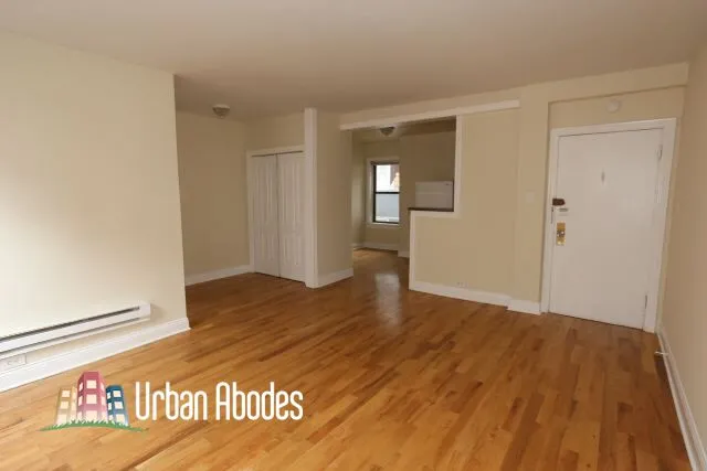 1347 N Dearborn St, ,  60610, USA 60610-unit#607-Chicago-IL