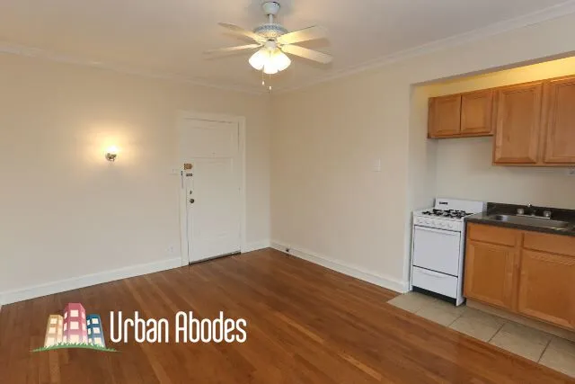4546 N Damen Ave, , 60625, USA 60625-unit#313-Chicago-IL
