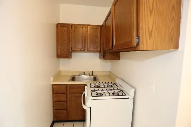 511 W Melrose St, ,  60657, USA 60657-unit#214-Chicago-IL