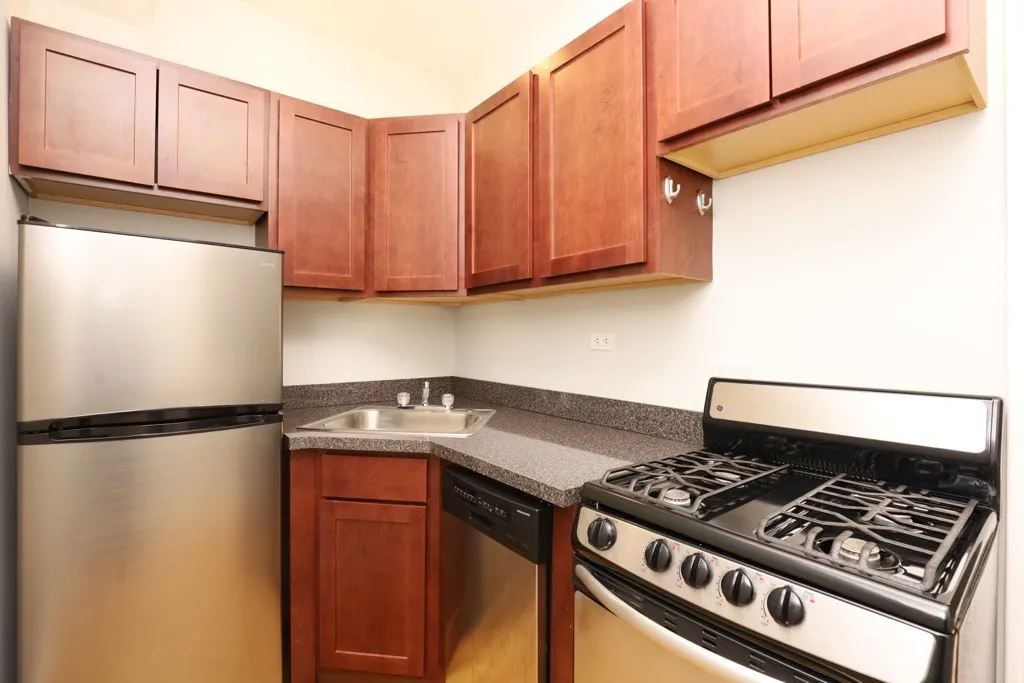 511 W Melrose St, ,  60657, USA 60657-unit#309-Chicago-IL