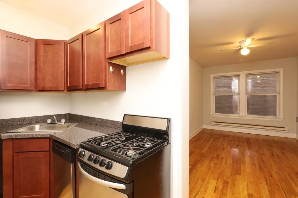 511 W Melrose St, ,  60657, USA 60657-unit#309-Chicago-IL