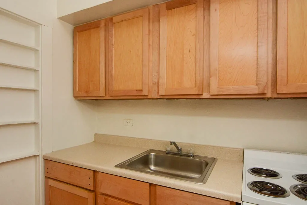 536 W Arlington Pl, ,  60614, USA 60614-unit#106-Chicago-IL