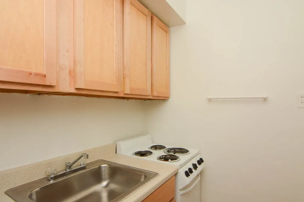 536 W Arlington Pl, ,  60614, USA 60614-unit#106-Chicago-IL