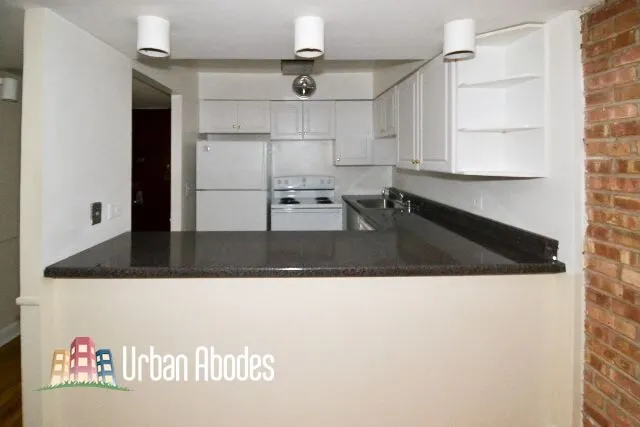 1220 N La Salle Dr, ,  60610, USA 60610-unit#4C-Chicago-IL