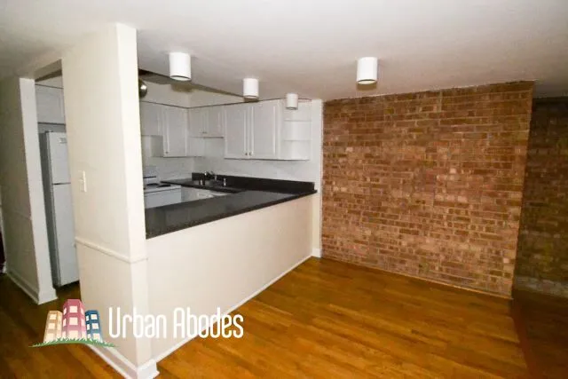 1220 N La Salle Dr, ,  60610, USA 60610-unit#4C-Chicago-IL