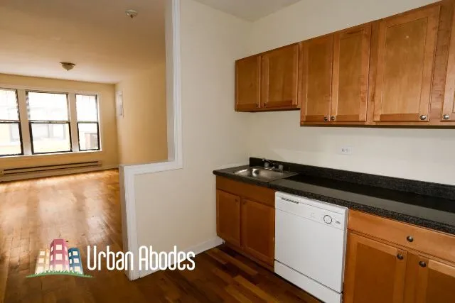721 W Barry Ave, ,  60657, USA 60657-unit#1B-Chicago-IL
