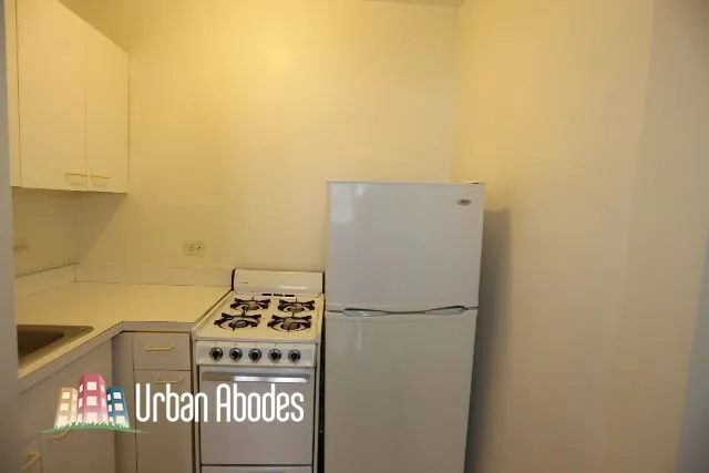 540 W Wellington Ave, ,  60657, USA 60657-unit#208-Chicago-IL