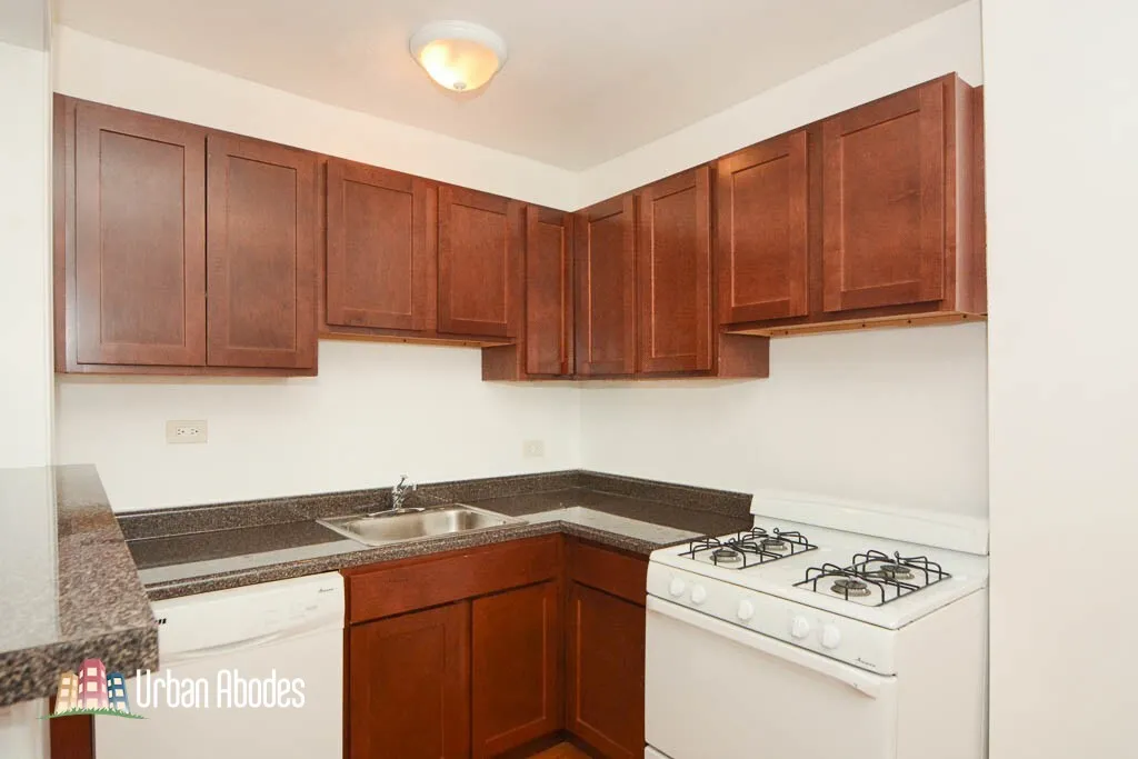 1347 N Dearborn St, ,  60610, USA 60610-unit#308-Chicago-IL