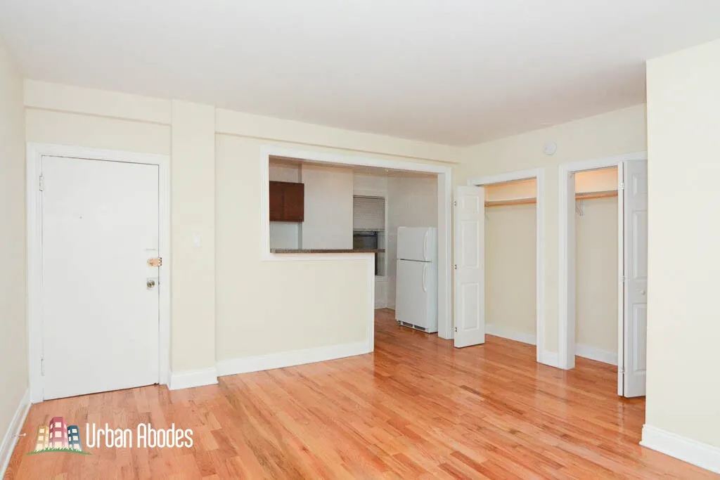 1347 N Dearborn St, ,  60610, USA 60610-unit#308-Chicago-IL