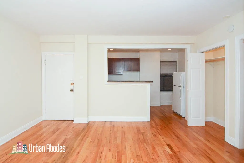 1347 N Dearborn St, ,  60610, USA 60610-unit#308-Chicago-IL