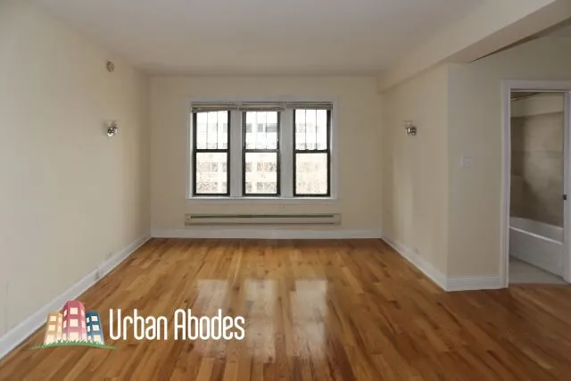 1347 N Dearborn St, ,  60610, USA 60610-unit#501-Chicago-IL