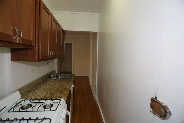 953 W Cornelia Ave, ,  60657, USA 60657-unit#3D-Chicago-IL