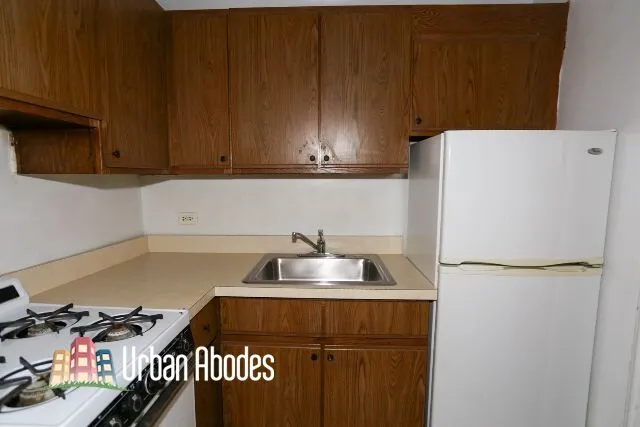 1164 N Dearborn St, , 60610, USA 60610-unit#216-Chicago-IL