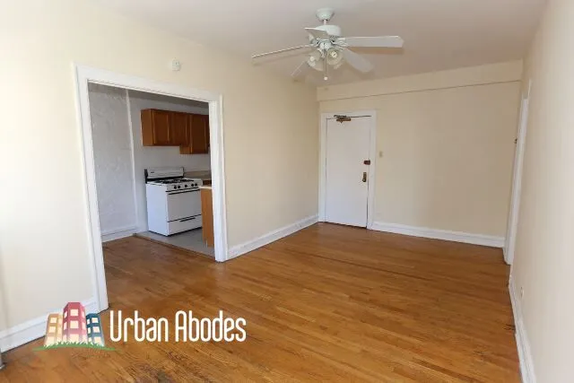 1164 N Dearborn St, ,  60610, USA 60610-unit#502-Chicago-IL