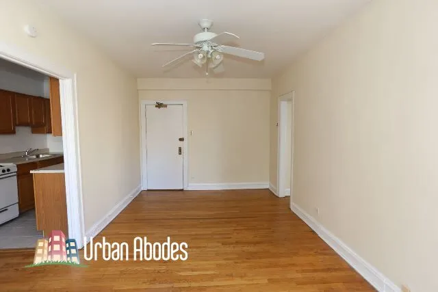 1164 N Dearborn St, ,  60610, USA 60610-unit#502-Chicago-IL