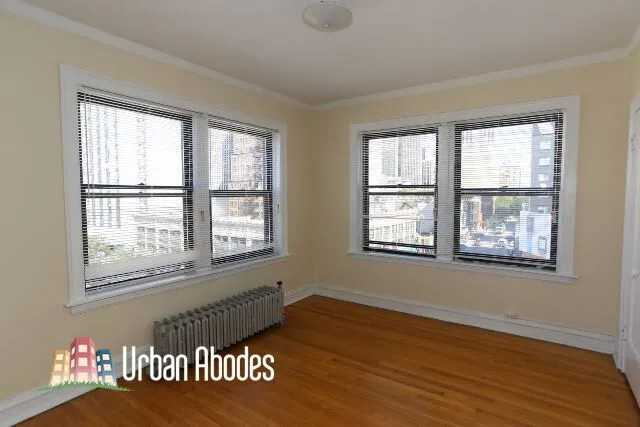 1164 N Dearborn St, ,  60610, USA 60610-unit#502-Chicago-IL