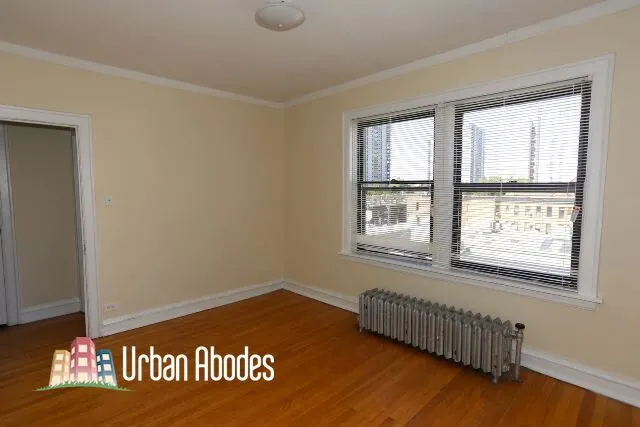 1164 N Dearborn St, ,  60610, USA 60610-unit#502-Chicago-IL