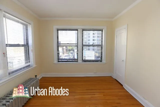 1164 N Dearborn St, ,  60610, USA 60610-unit#502-Chicago-IL