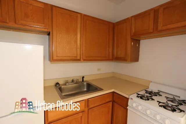 1164 N Dearborn St, , 60610, USA 60610-unit#304-Chicago-IL