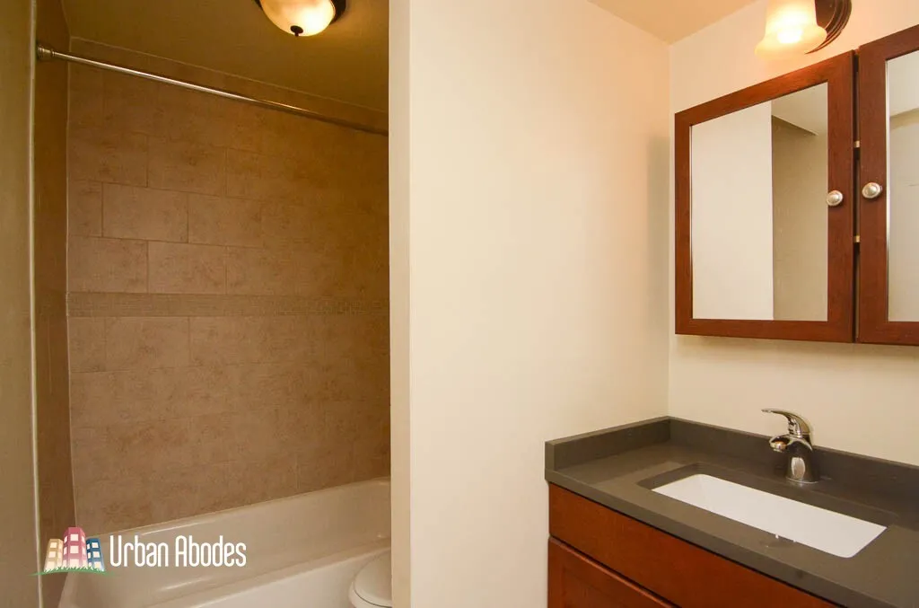 1220 N La Salle Dr, ,  60610, USA 60610-unit#2J-Chicago-IL