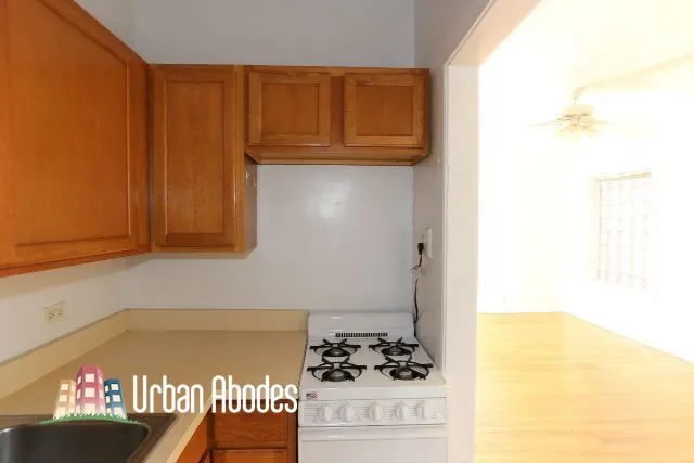 1164 N Dearborn St, ,  60610, USA 60610-unit#504-Chicago-IL