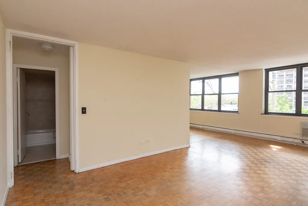 1446 N Dearborn St, ,  60610, USA 60610-unit#4B-Chicago-IL