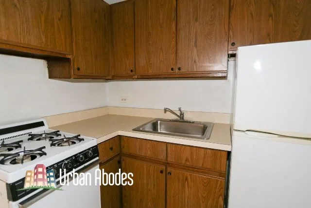 1164 N Dearborn St, ,  60610, USA 60610-unit#401-Chicago-IL