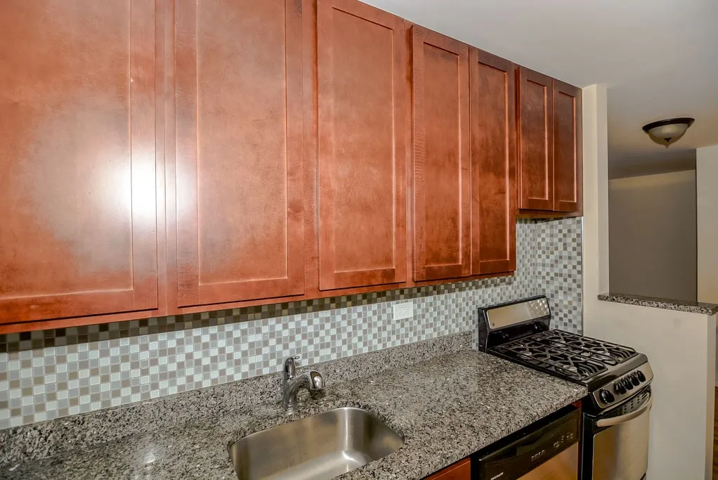 555 W Arlington Pl, ,  60614, USA 60614-unit#405-Chicago-IL