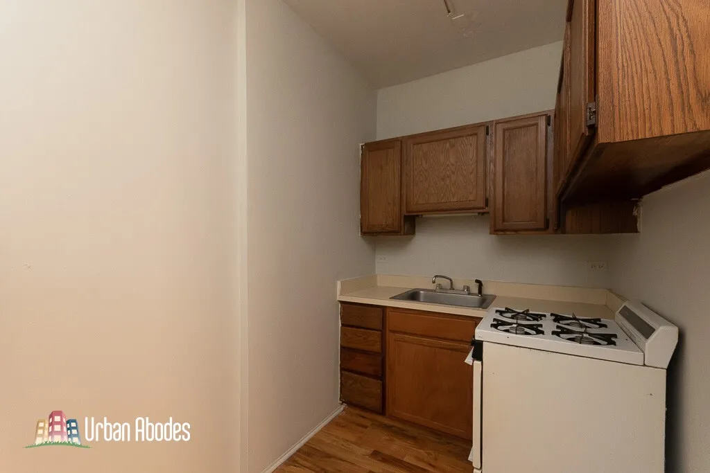 511 W Melrose St, ,  60657, USA 60657-unit#209-Chicago-IL