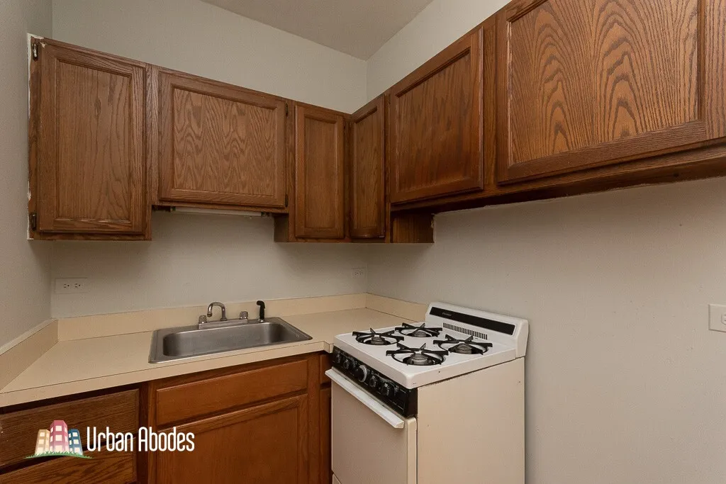 511 W Melrose St, ,  60657, USA 60657-unit#209-Chicago-IL
