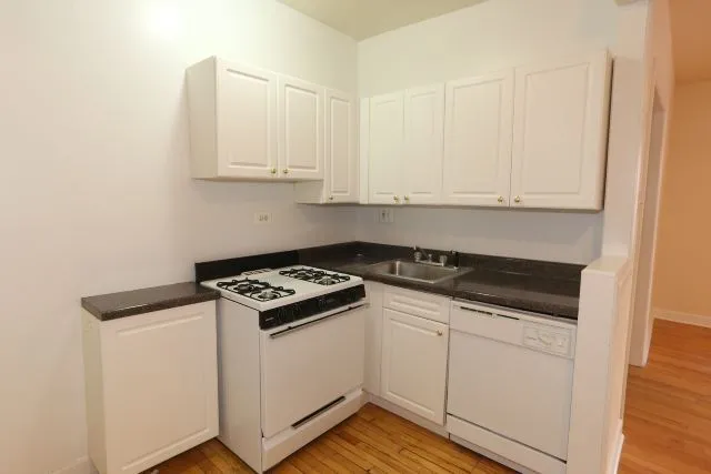 3720 N Pine Grove Ave, ,  60613, USA 60613-unit#2E-Chicago-IL